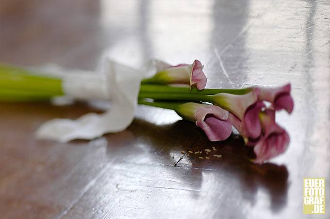 Hochzeit Erholungsgesellschaft, Aachen Fotograf